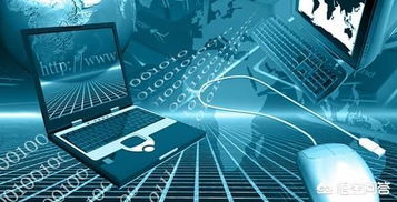 人工智能應(yīng)用軟件開發(fā) 通往AI與物聯(lián)網(wǎng)行業(yè)的專業(yè)路徑